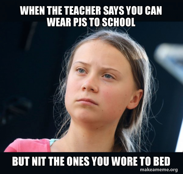 Greta Thunberg meme