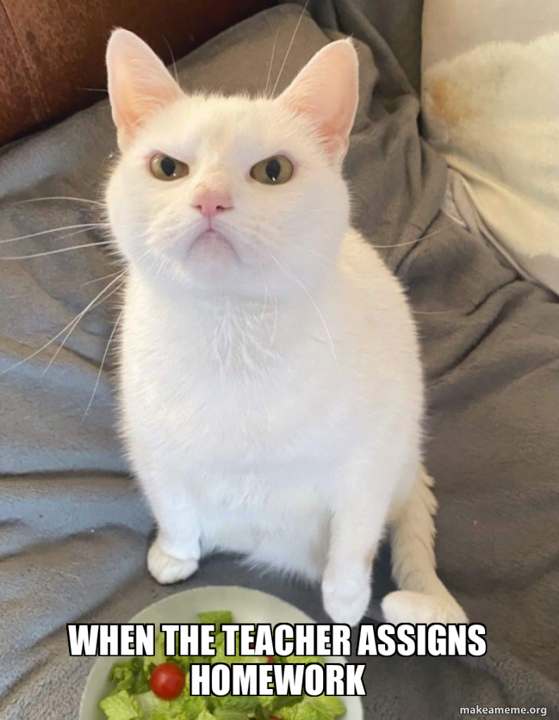 When the teacher assigns homework Meme Generator