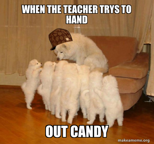 Scumbag Storytelling Dog meme