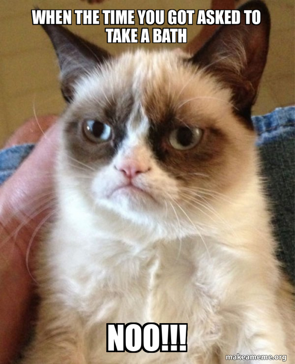 Grumpy Cat meme