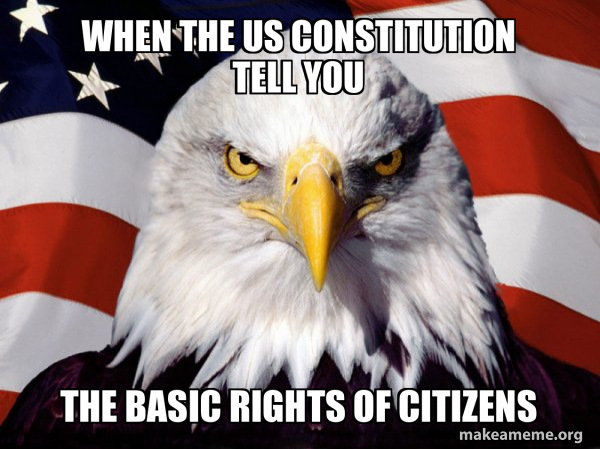 when the us constitution tell you the basic rights of citizens ...