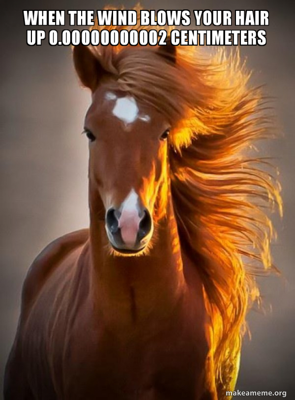 Ridiculously photogenic horse meme