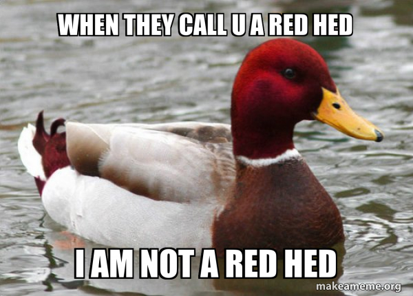 Malicious Advice Mallard meme