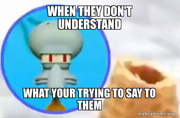 When they don't understand what your trying to say to them - What the ...