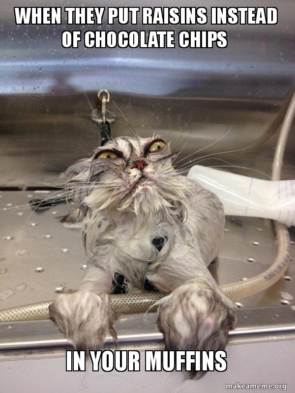 Raisin Meme Funny This Ain't No Choco Chip : R/memes
