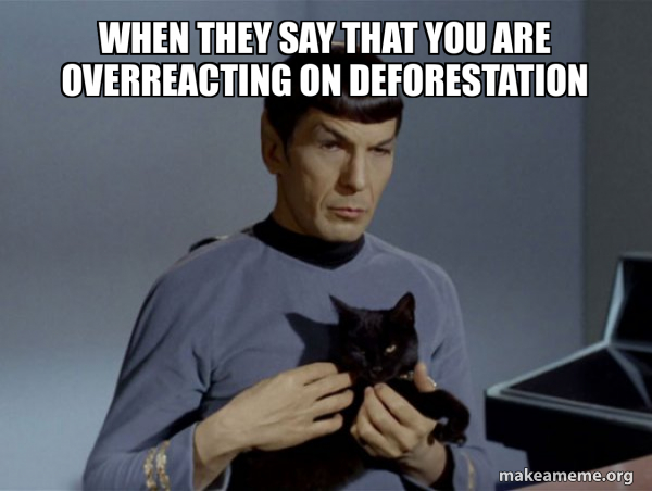 Spock and Cat Meme meme