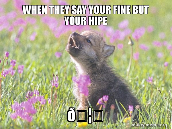 Baby Insanity Wolf meme