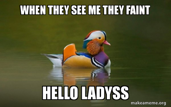 Fashionable Advice Mallard meme