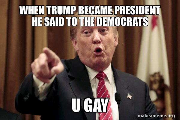 Donald Trump Says meme