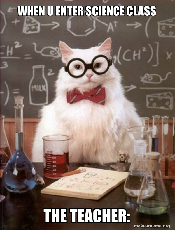 Chemistry Cat meme