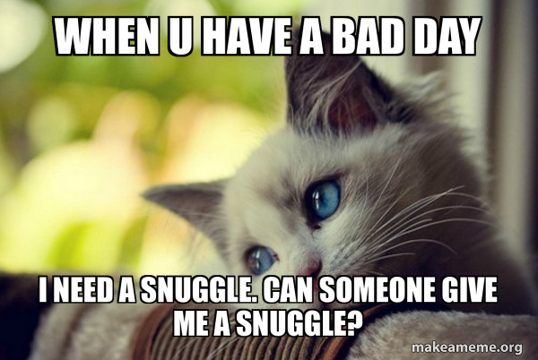 First World Cat Problems meme