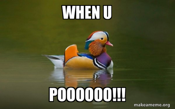 Fashionable Advice Mallard meme