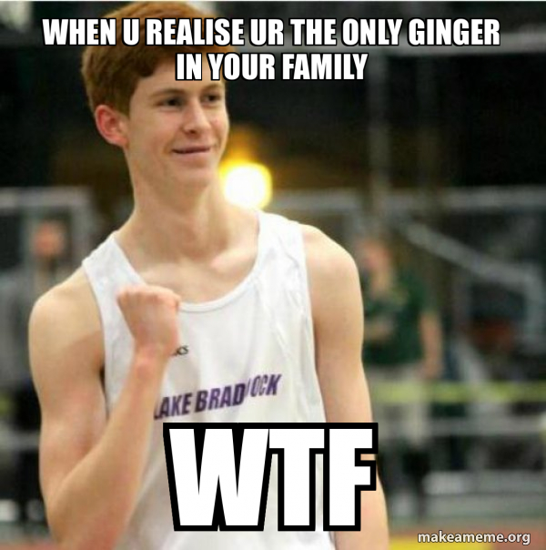 Success Ginger meme