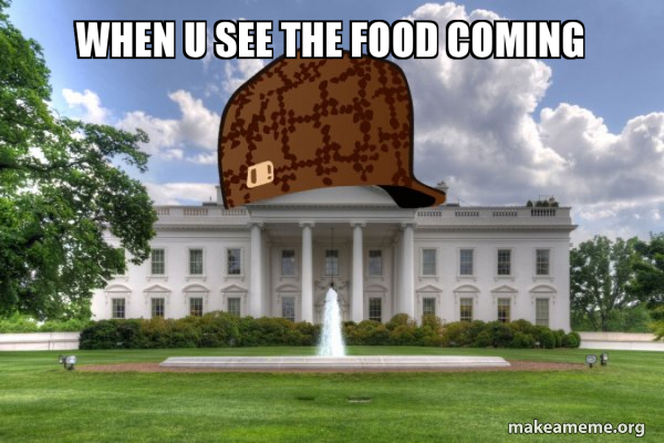 Scumbag Whitehouse meme