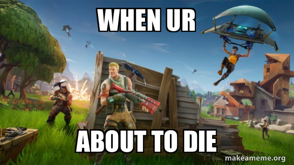 Fortnite Battle Royale game meme