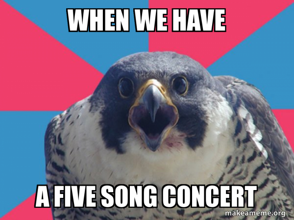 Millennial Falcon meme