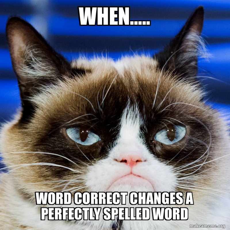 When….. Word correct changes a PERFECTLY SPELLED word Meme Generator