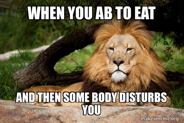 Contemplative Lion meme