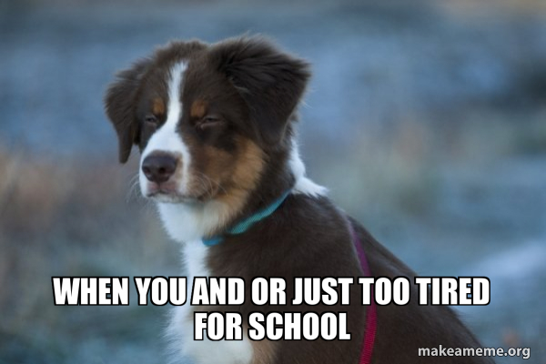 Unsure Dog meme