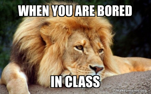 Confession Lion meme