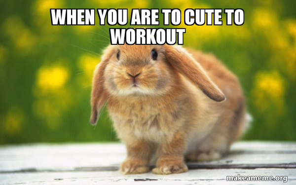 Regretful Rabbit meme