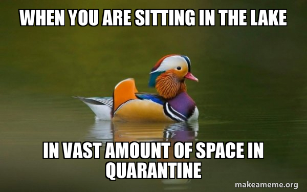 Fashionable Advice Mallard meme