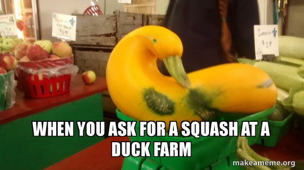 Gourd Advice Mallard meme