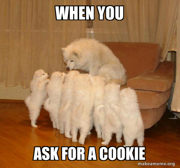 Storytelling Dog meme