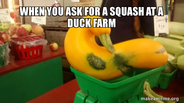 Gourd Advice Mallard meme