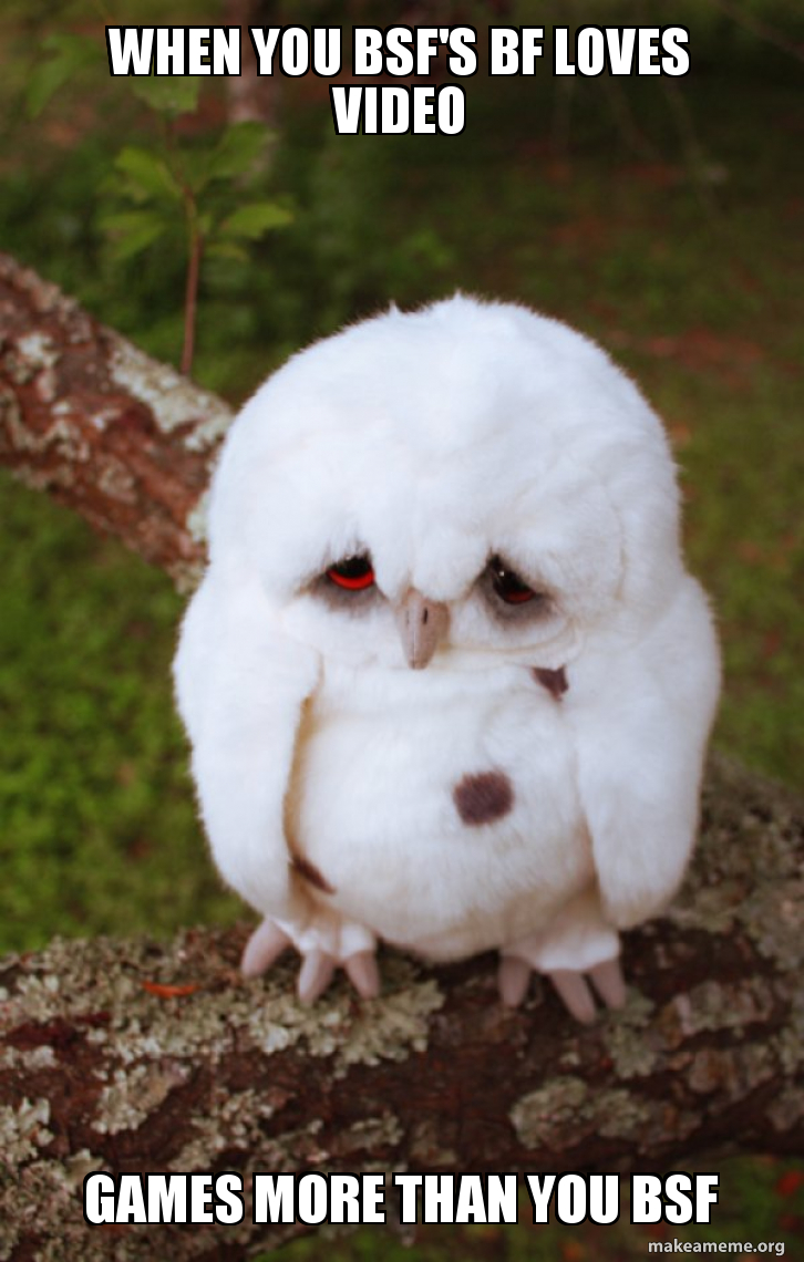 when you bsf's bf loves video games more than you bsf - Sad Owl | Make a  Meme