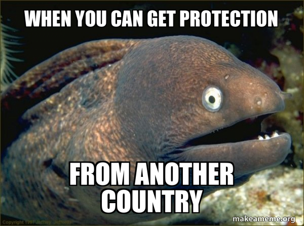 When you can get protection from another country - Bad Joke Eel Meme ...