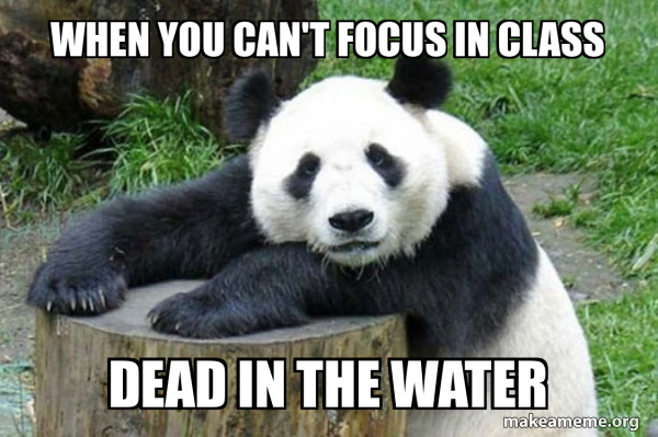 Confession Panda meme