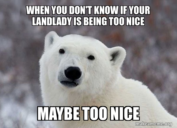 Popular Opinion Polar Bear meme