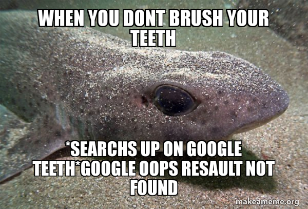 Dirty Joke Dogfish meme