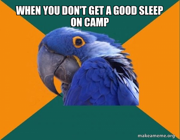 Paranoid Parrot meme