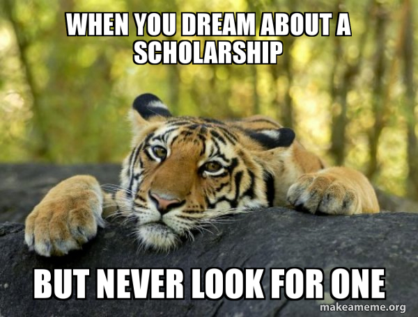 Confession Tiger meme