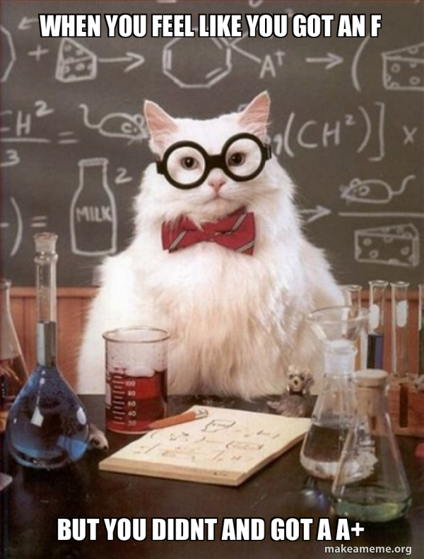 Chemistry Cat meme