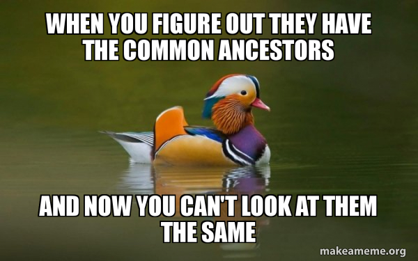 Fashionable Advice Mallard meme