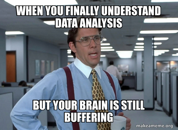 When you finally understand data analysis But your brain is still ...