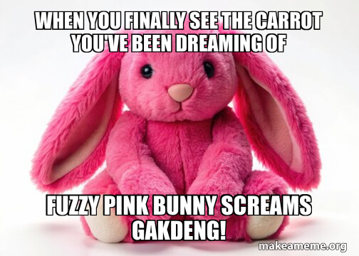 Meme Pink Rabbit Work When you finally see the carrot you've been dreaming of Fuzzy pink ...