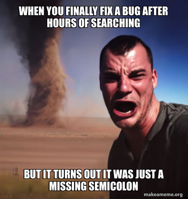 When you finally fix a bug after hours of searching But it turns out it ...