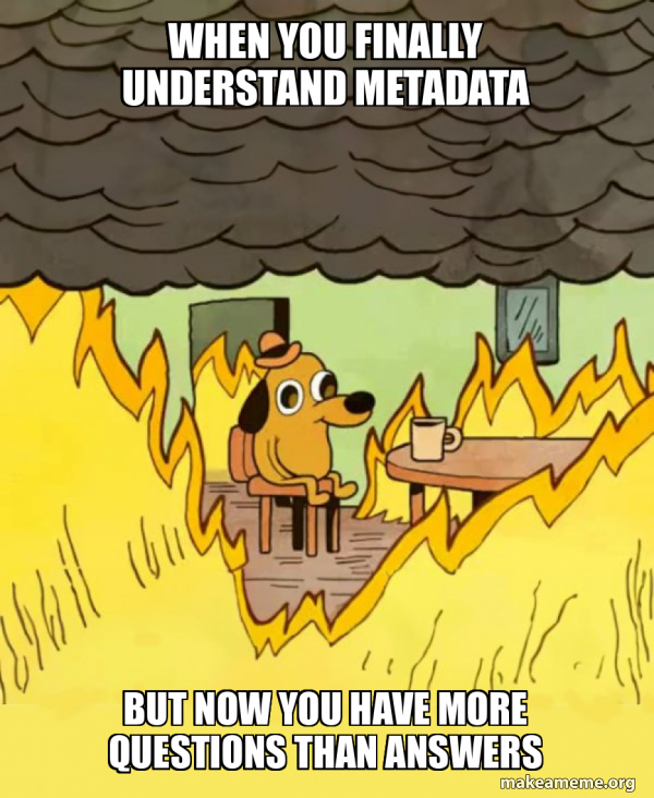 When you finally understand metadata But now you have more questions ...