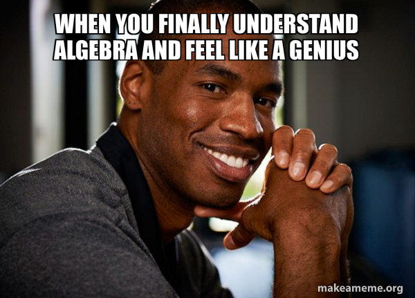When you finally understand algebra and feel like a genius - Good Guy ...
