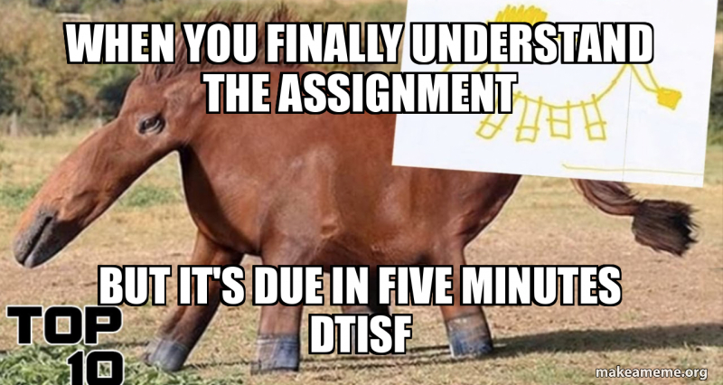 When you finally understand the assignment But it's due in five minutes ...