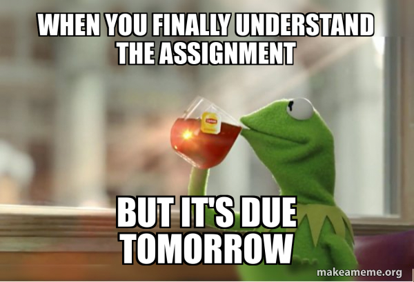 When you finally understand the assignment But it's due tomorrow ...