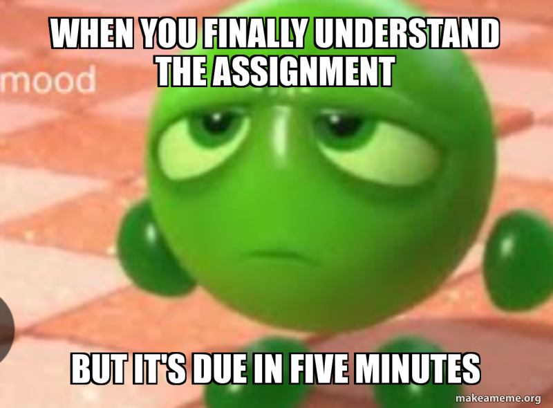 When you finally understand the assignment But it's due in five minutes ...