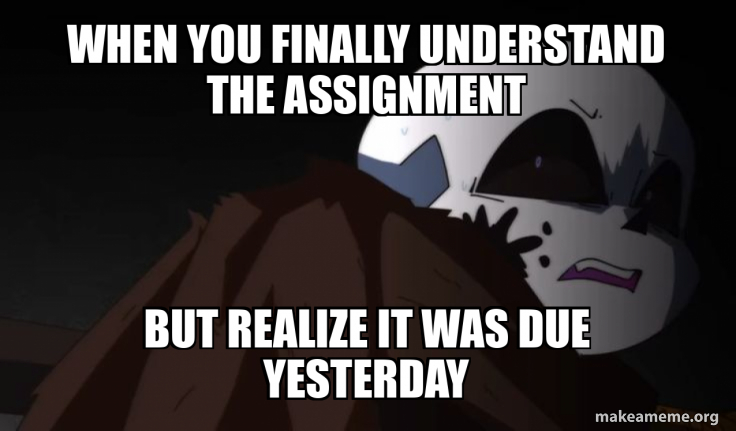 When you finally understand the assignment But realize it was due ...