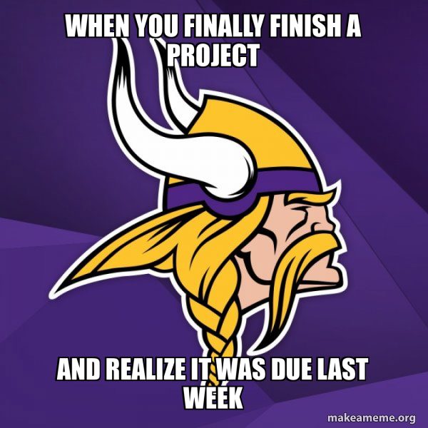 Minnesota Vikings meme
