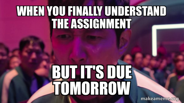 When you finally understand the assignment But it's due tomorrow - I've ...