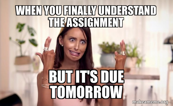 When you finally understand the assignment But it's due tomorrow ...
